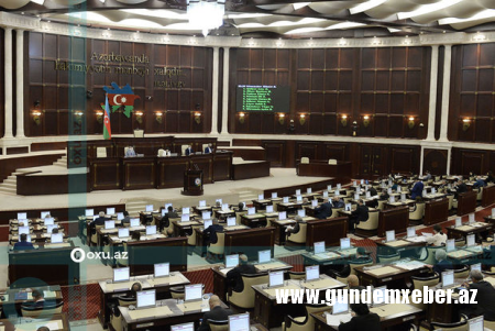 Səfər Mehdiyevin məsələsi parlamentdə qaldırıldı: Gömrük Komitəsinin sədri Sahibə Qafarovaya zəng edib