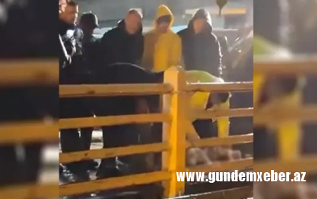 Türkiyədə bir qrup şəxs yağışın dayanması üçün qurban kəsdi